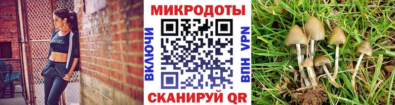 Купить  Старая Купавна  Галлюциногенные грибы Magic Shrooms 